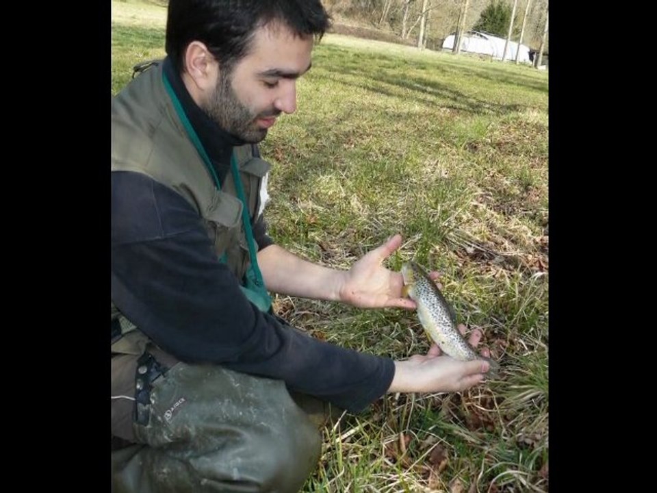 Ouverture 2012