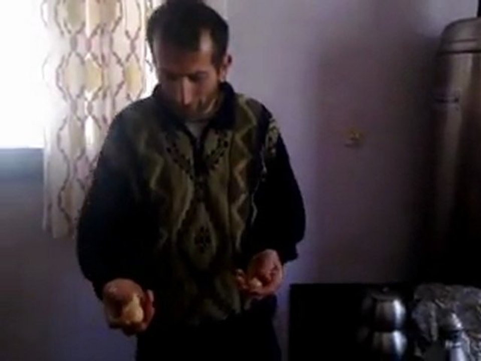 LAZIN TAVUĞU