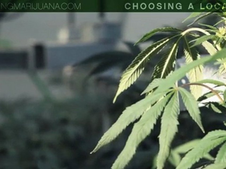 Choosing Location - Growing Weed Grow Rooms - How To Grow Weed - 17