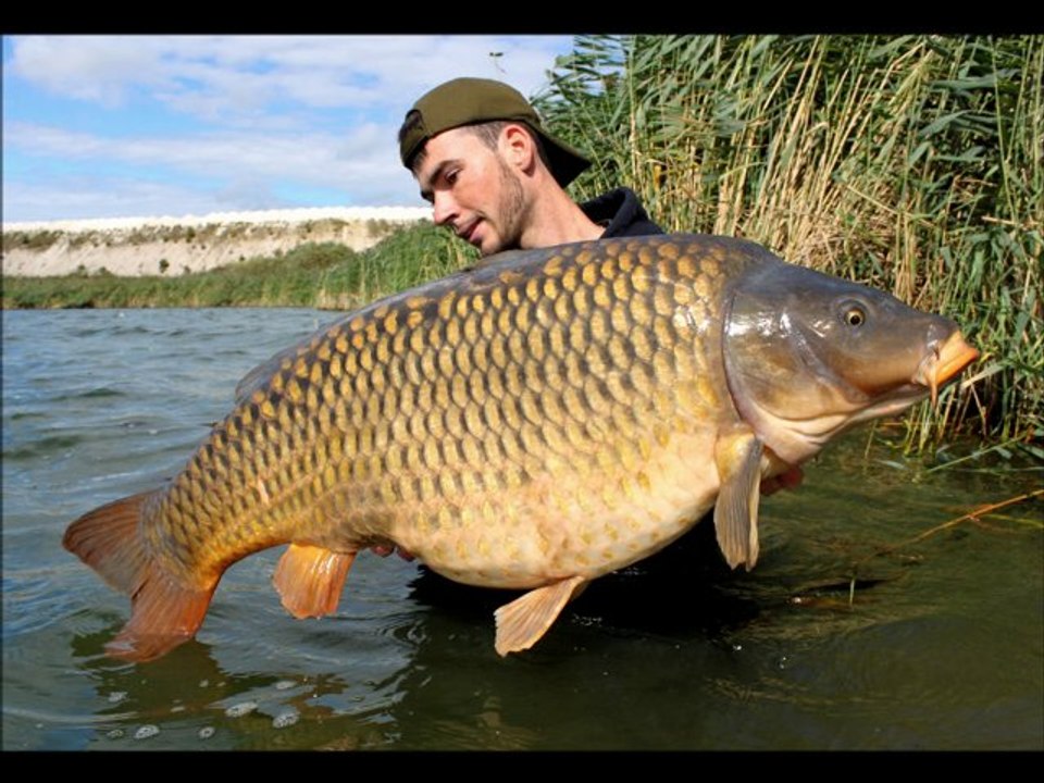 Peche de la carpe : Diapo saison 2011...