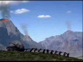 Evolution de l'homme