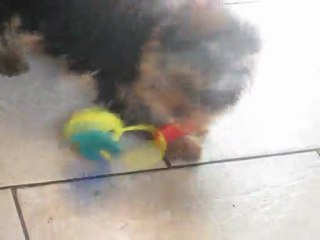 photos du 6.02.2012 088