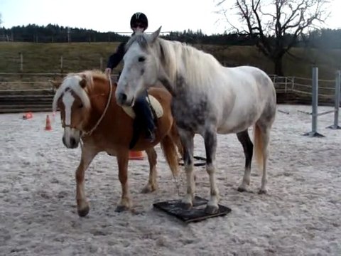 Safran et Baïla: une nouveauté...