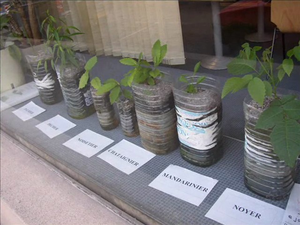 Systèmes du petit jardin des écoliers dans les vitrines de Dinan