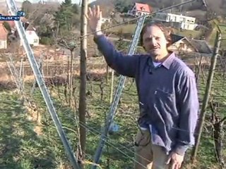 Hebdo DD : Le développement durable en Alsace (15/03)