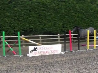 Millfield Cassidy by Cassius V