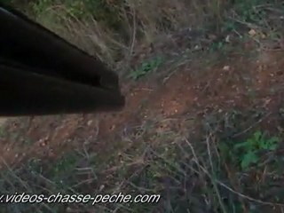 tir grives au vol a la sortie des haies oregon atc9k