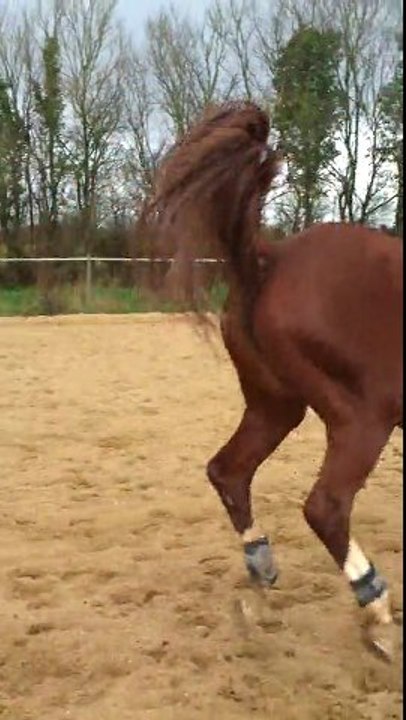 Star Avec sa cavalière