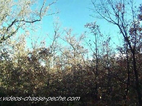 chasse à la bécasse avec pointer caméra embarquée goPro HD