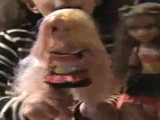 Single Ladies by Moxie Girlz