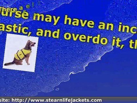 Stearns Dog Flotation Vests are Comfortable Dog Life Jackets