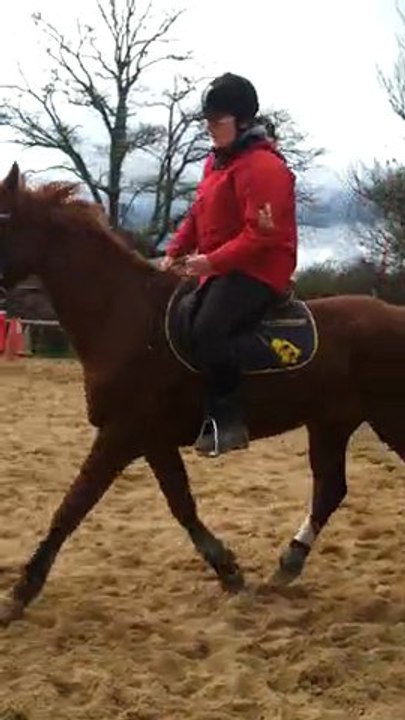 Au trot à gauche