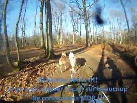 championnat national 2011 2012 seconde partie