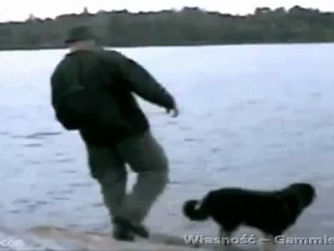 bez komentarza (no title) - „kto pod kim dołki kopie, sam w nie pada”