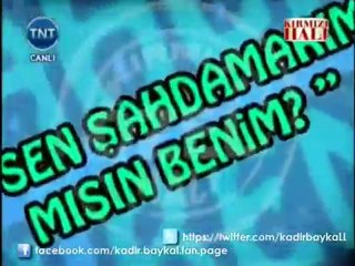 Ajdar Şah Damarı | www.acunfirarda.com