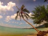 Best Koh Samui Coconut Beach s' Time Lapse Thailand Chronophotographie