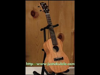 ukulele tutorial ordinary people