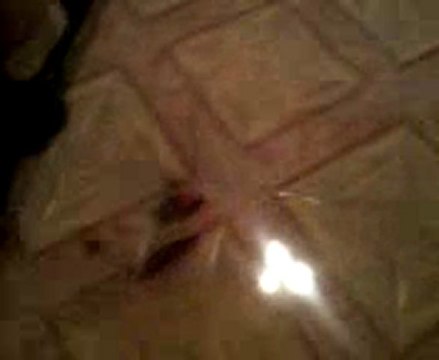 helico rc spark 300 t2m