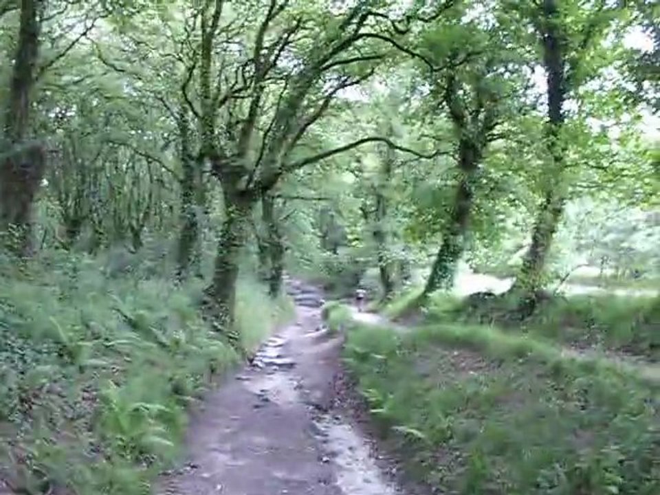 Le 09/06/2011 vers 10 heures