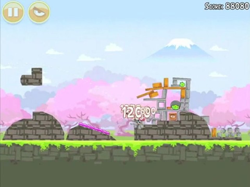Cherry Blossom 1-15