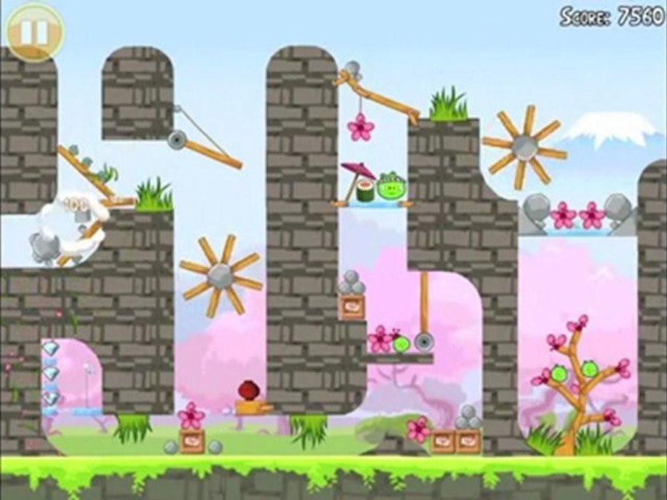 Cherry Blossom Golden Egg 33