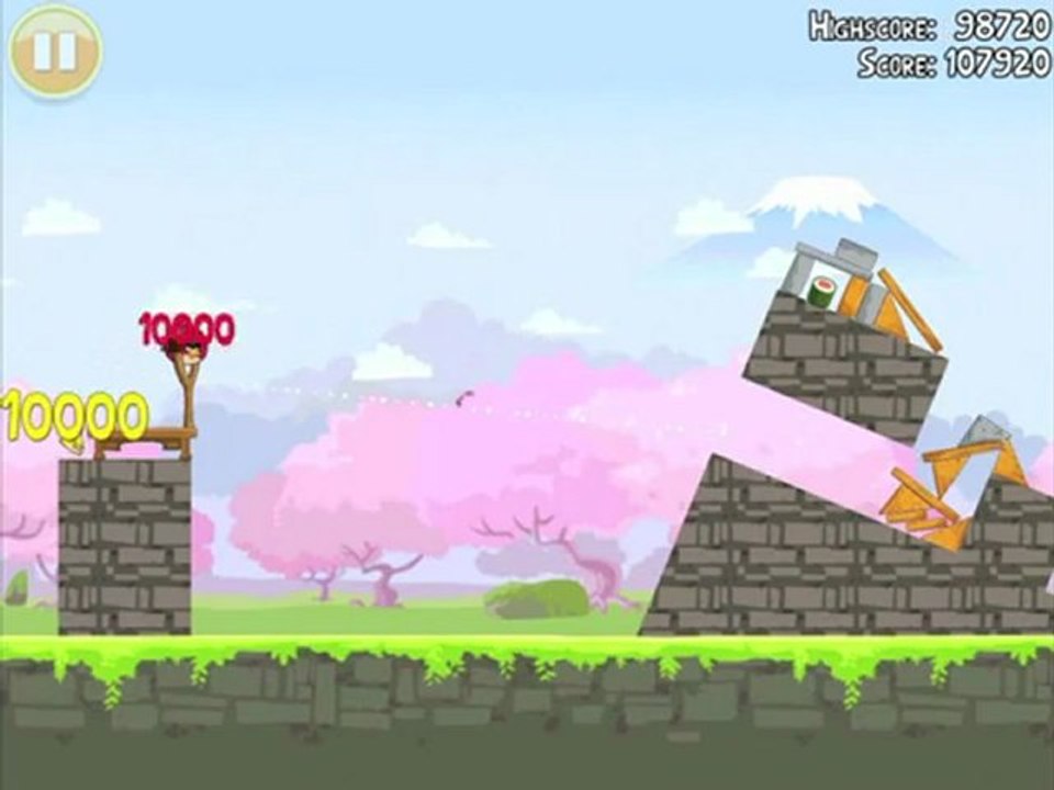 Cherry Blossom 1-1