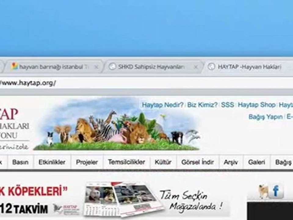 Google chrome kayıp köpek bulma reklamı