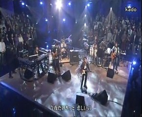 今夜だけきっと／スターダストレビュー