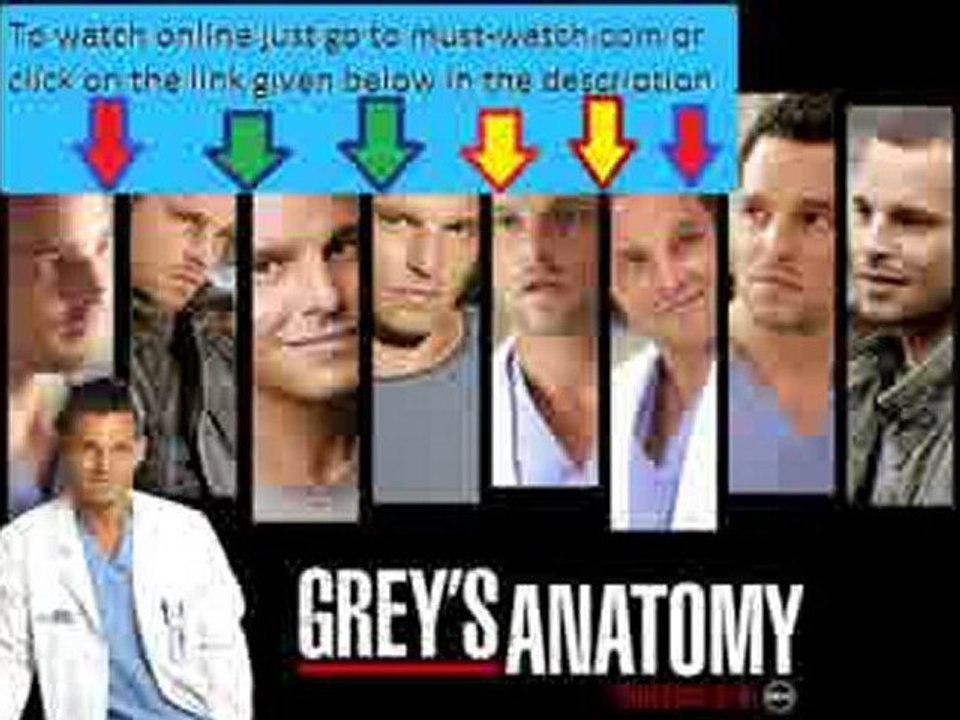 Greys Anatomy S08E14