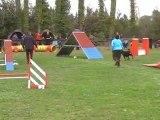 Dolce agility eyragues 12 GPF
