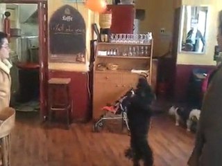 Cayou futur joueur AC Arles Avignon s'entraine