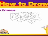 Learn to Draw Flower - Draw a Primrose