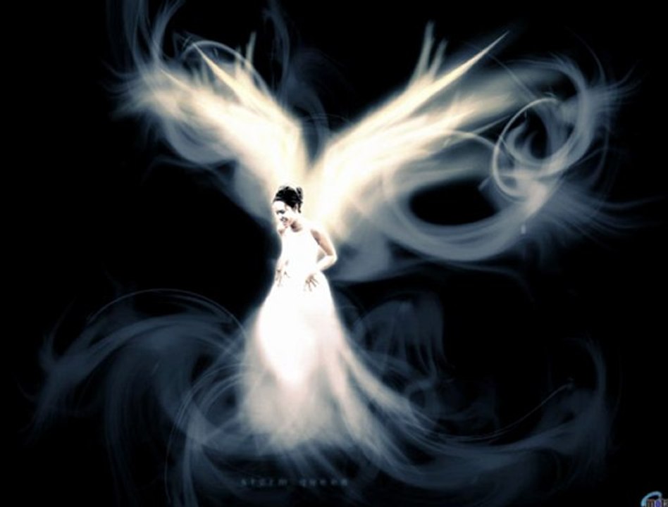 Benjy - partis trop tot