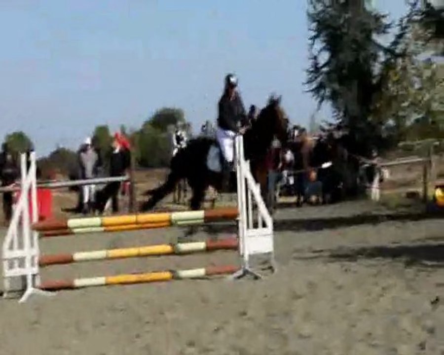 Rebel du Perreux - Leguevin 2011