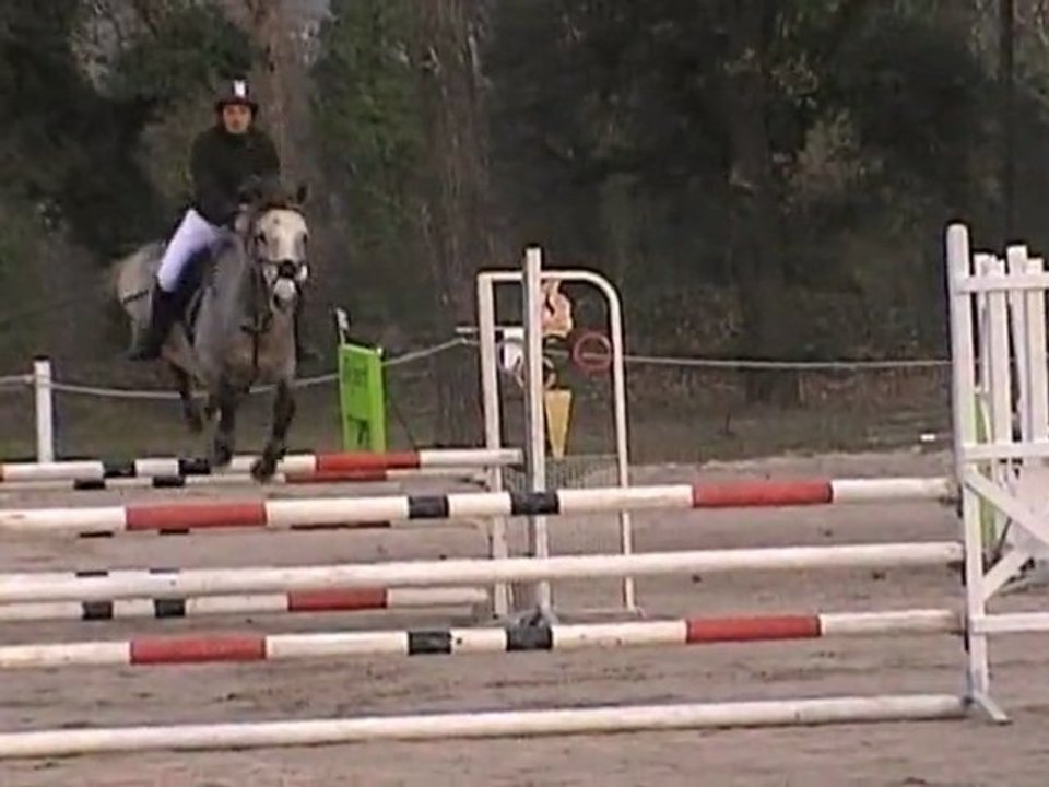 Tanis CSO Montélimar le 11.03.12 Prépa 95cm