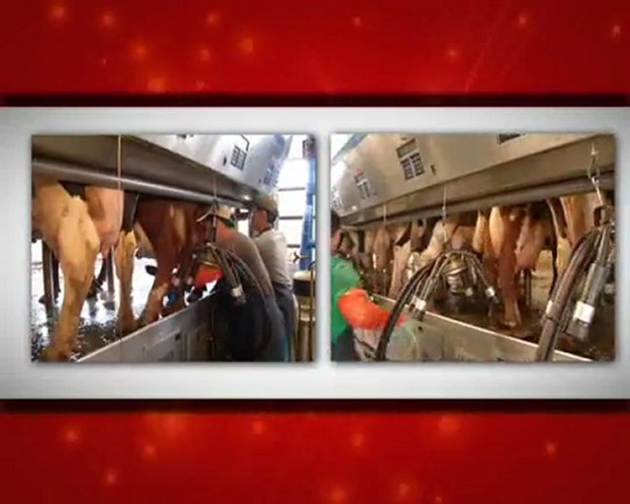 kayabaşı kanal 3 reklam