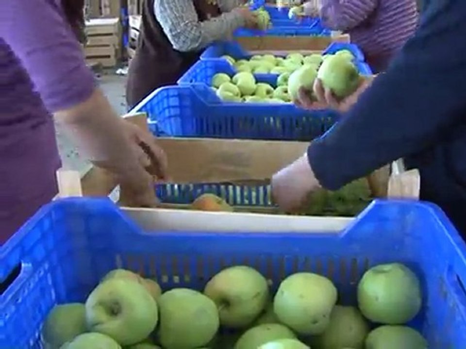 ÜRETİCİNİN SESİ  KANAL3