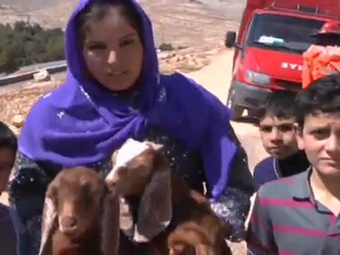 3 keçi yavrusu mahsur kalınca...