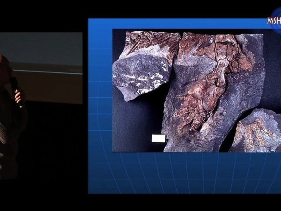 ADS : Jean-Sebastien Steyer, La Terre avant les dinosaures