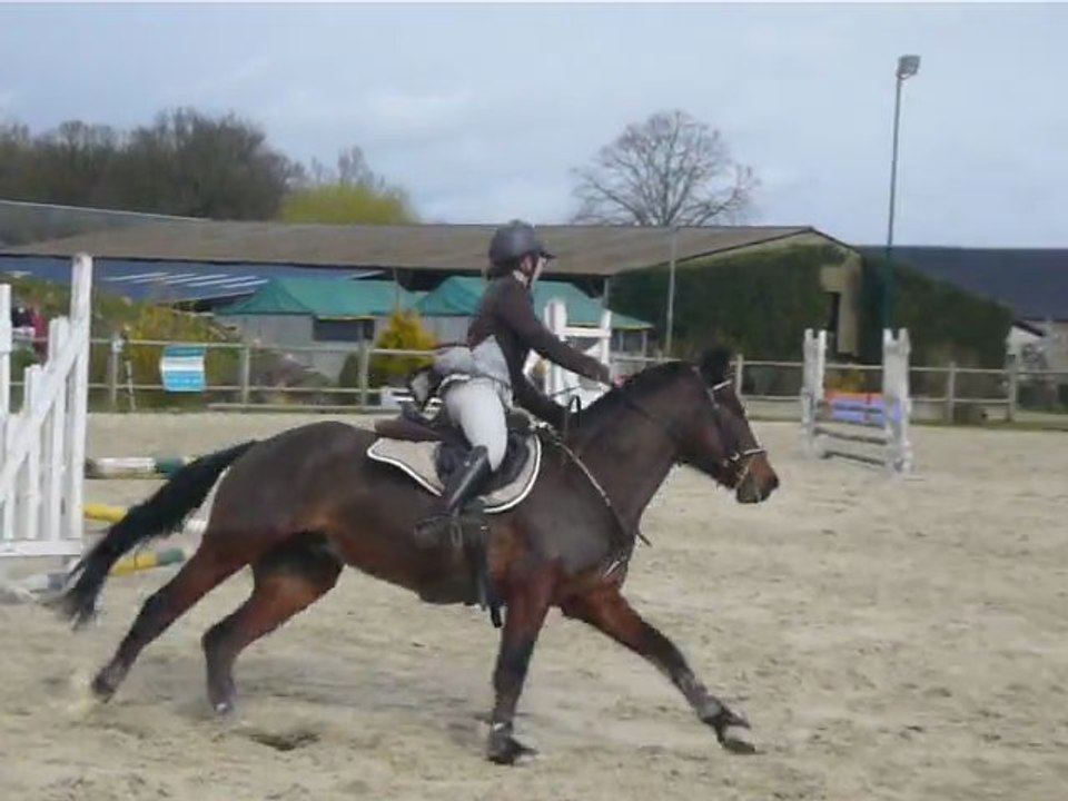 CSo Noyer le 18.03.12, Poney 3, 10/54 Gwen&Simbad