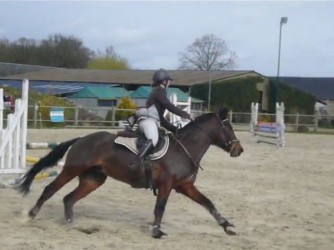 CSo Noyer le 18.03.12, Poney 3, 10/54 Gwen&Simbad