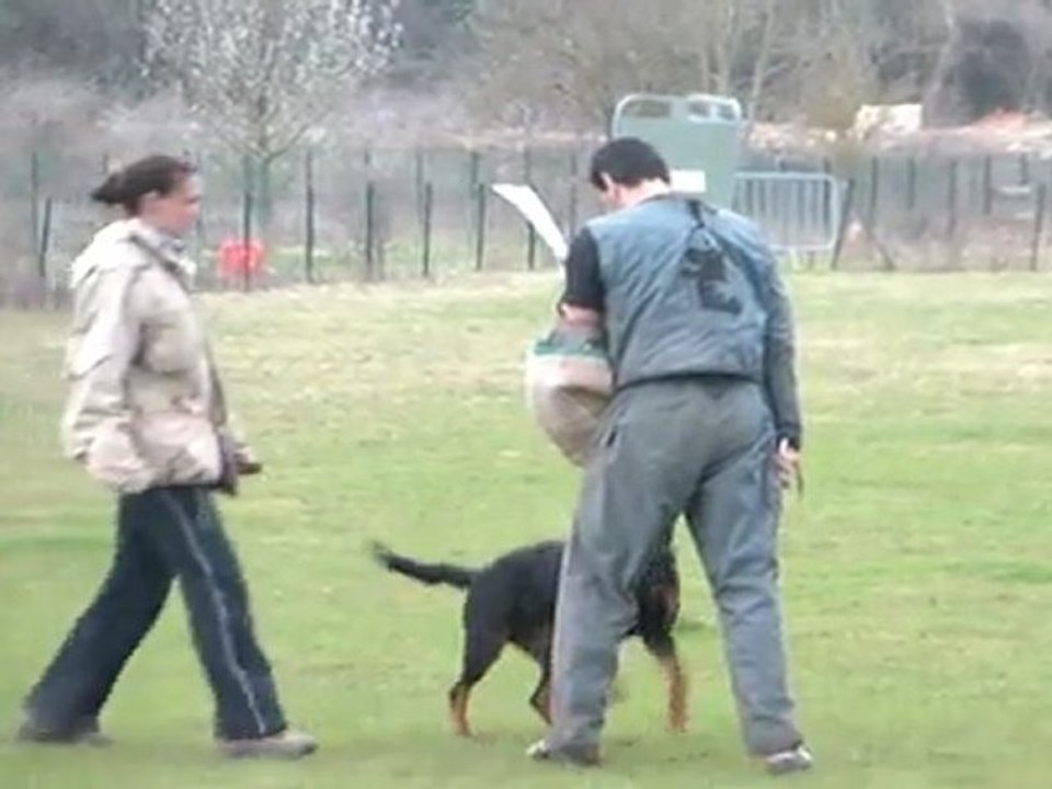 Feena Von Den Nibelungen RCI 1 Défense: 88/100 points