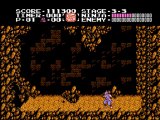 Test de Ninja Gaiden ( Nes )