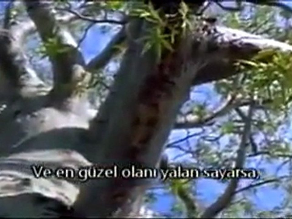 YAŞAM AMACIMIZ NE