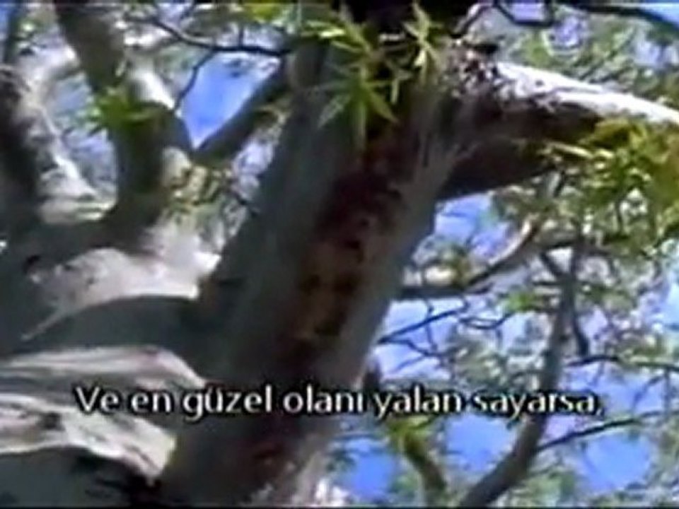 YAŞAM AMACIMIZ Ne?