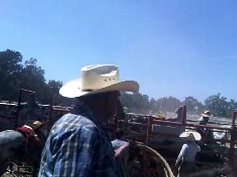 SON LOS CABALLOS Y LOS GALLOS MI HOBBY