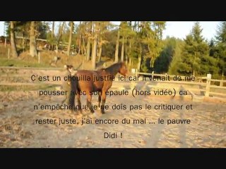 rond de longe_0001