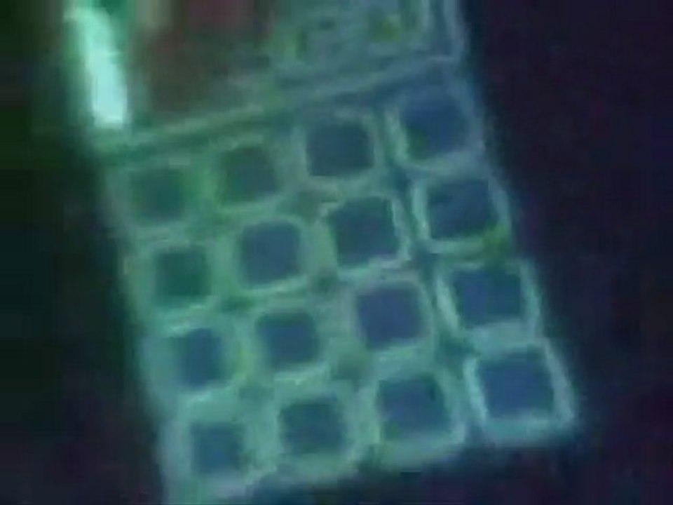 Stuck Records Launch Party - FCP Response