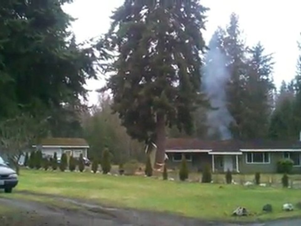 Regis le bucheron...