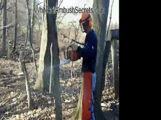 How To Hinge Cut Trees For Deer